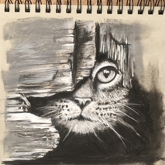 🎉 🎉 HP 🎉 🎉 Custom Commissioned Pet Portraits w/ certificate of authenticity - Picture 2 of 9